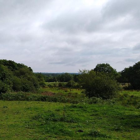 Blackberry Patch Pontyates Exterior foto