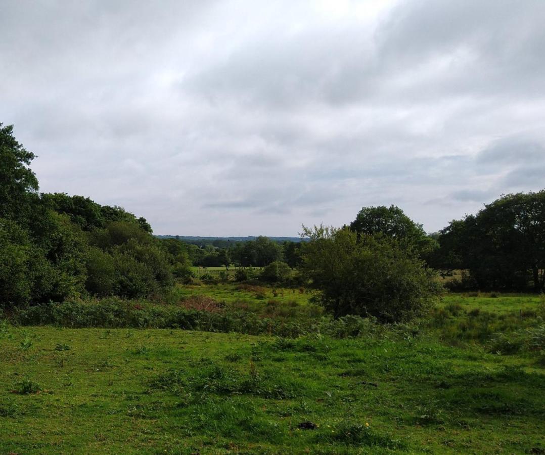 Blackberry Patch Pontyates Exterior foto